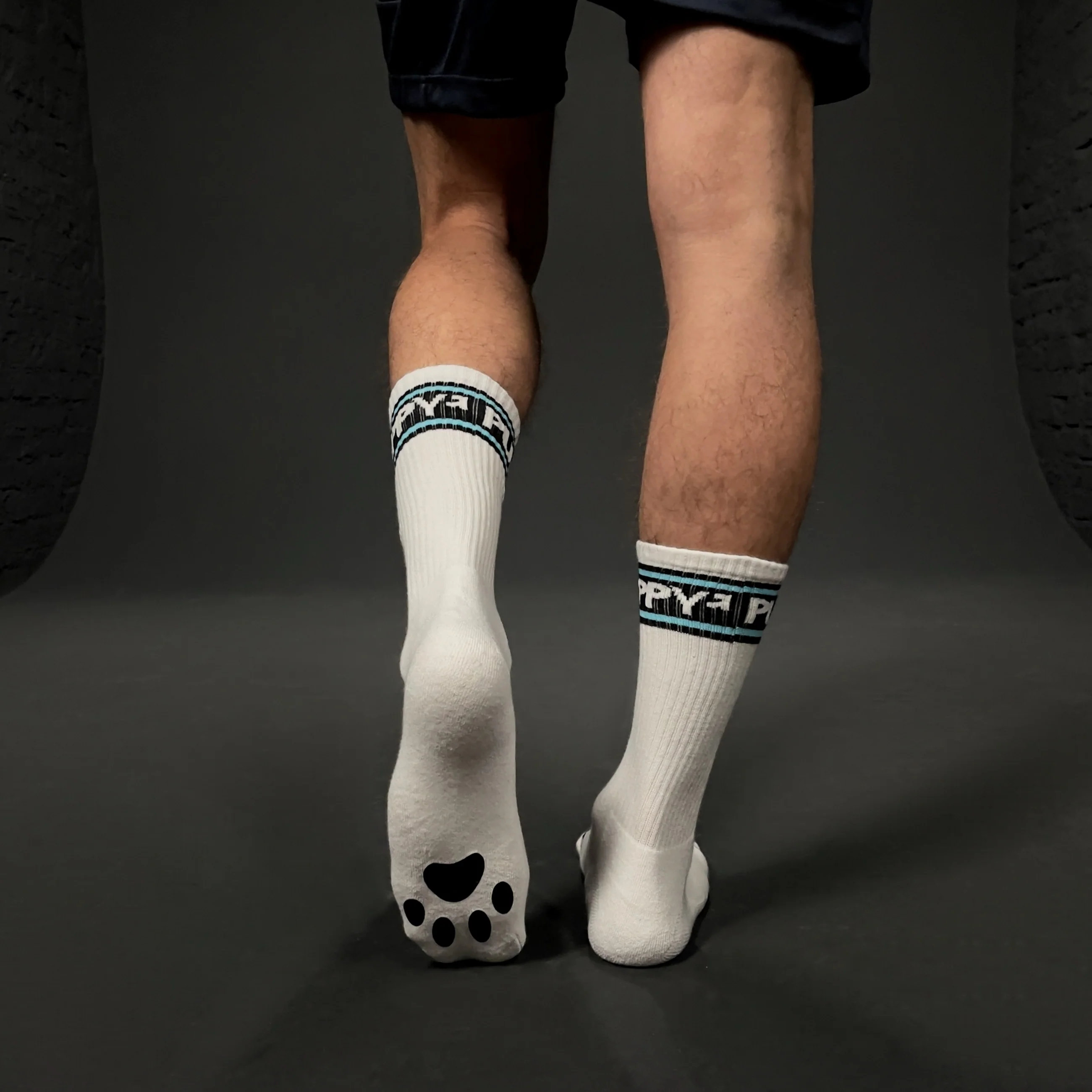 PUPPY SOCKS WHT/AQUA - Image 3